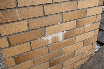 エフロレッセンス（白華現象）